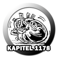 Aktuelles Kapitel
