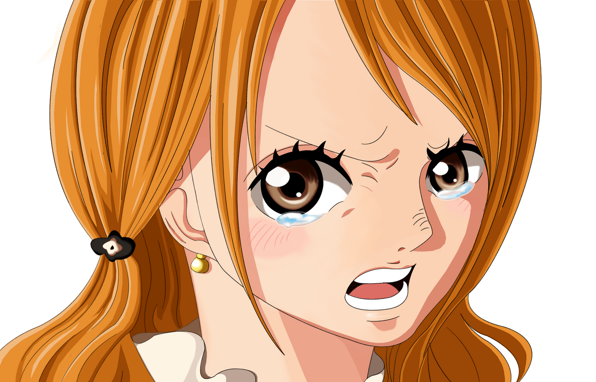 One Piece Pirateboard One Piece Pirateboard