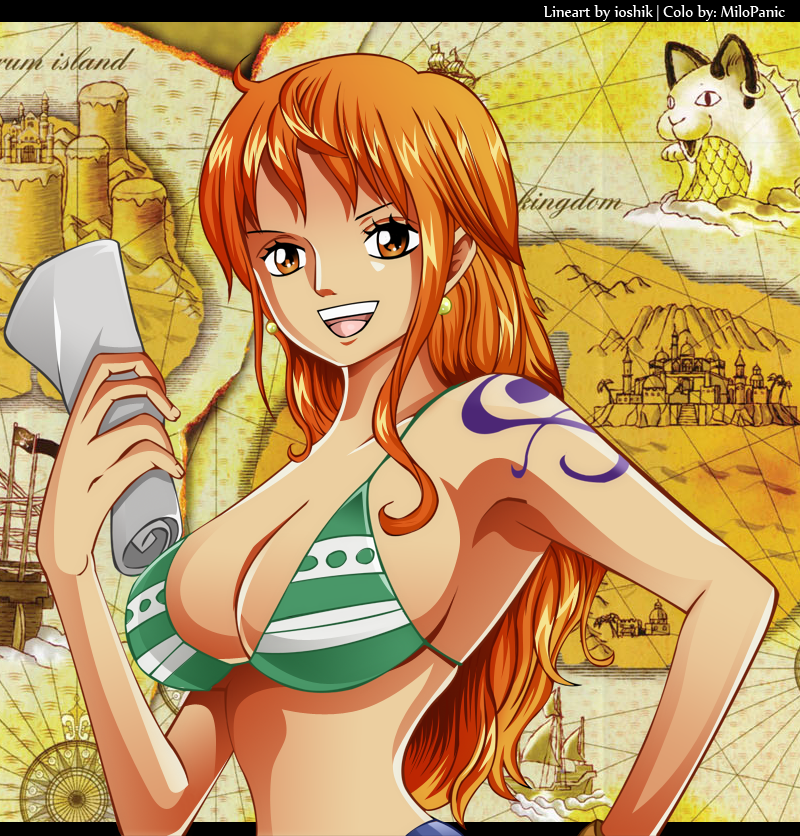 Treasure Hunter - Pirateboard - Das One Piece Forum.