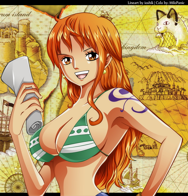 Treasure Hunter - Galerie - Pirateboard - Das One Piece Forum
