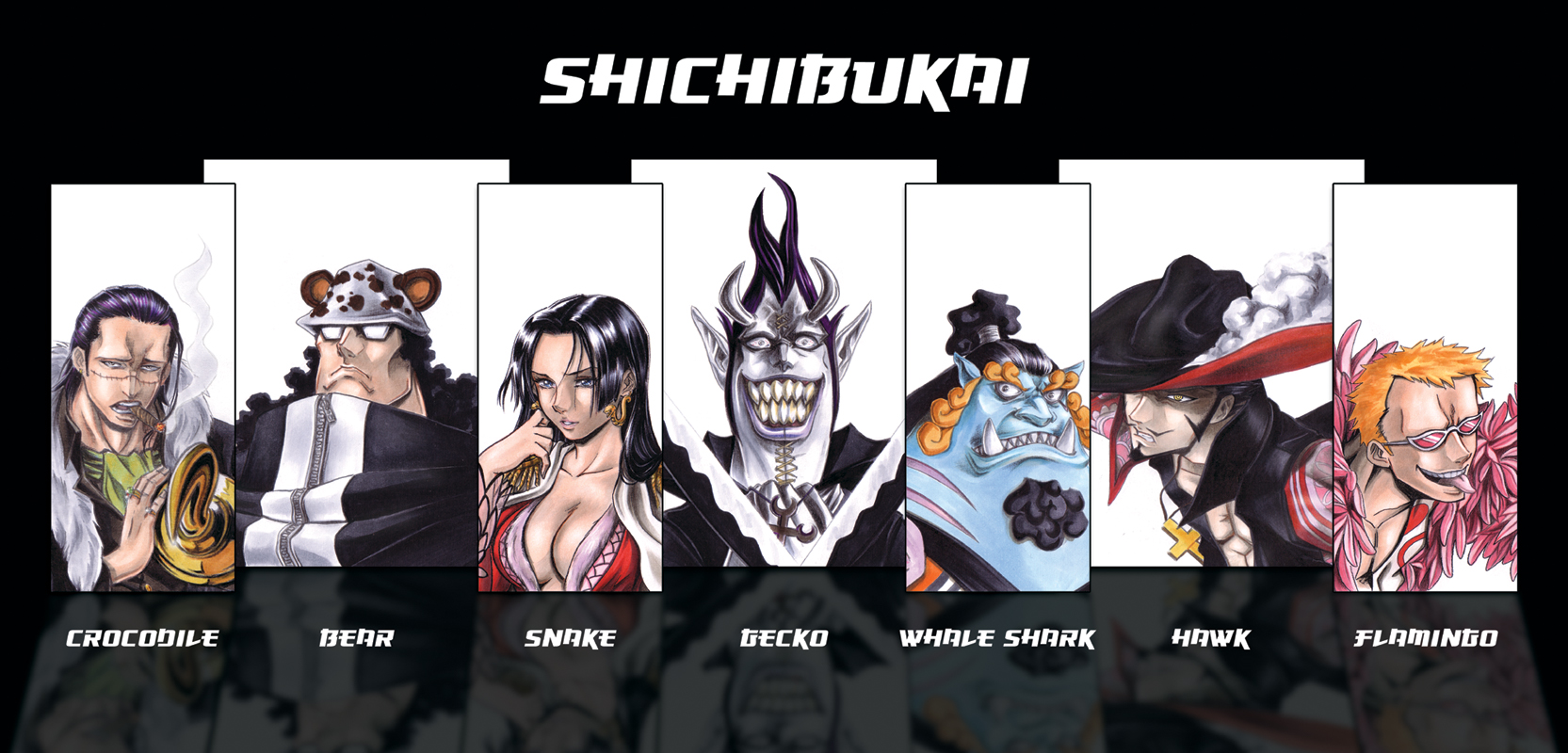 Shichibukai Galerie Pirateboard Das One Piece Forum